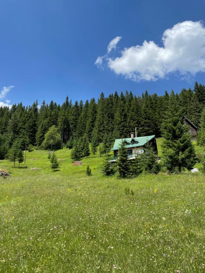Villa Magic Mountain Žabljak Esterno foto
