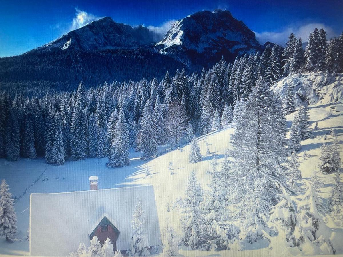 Villa Magic Mountain Žabljak Esterno foto