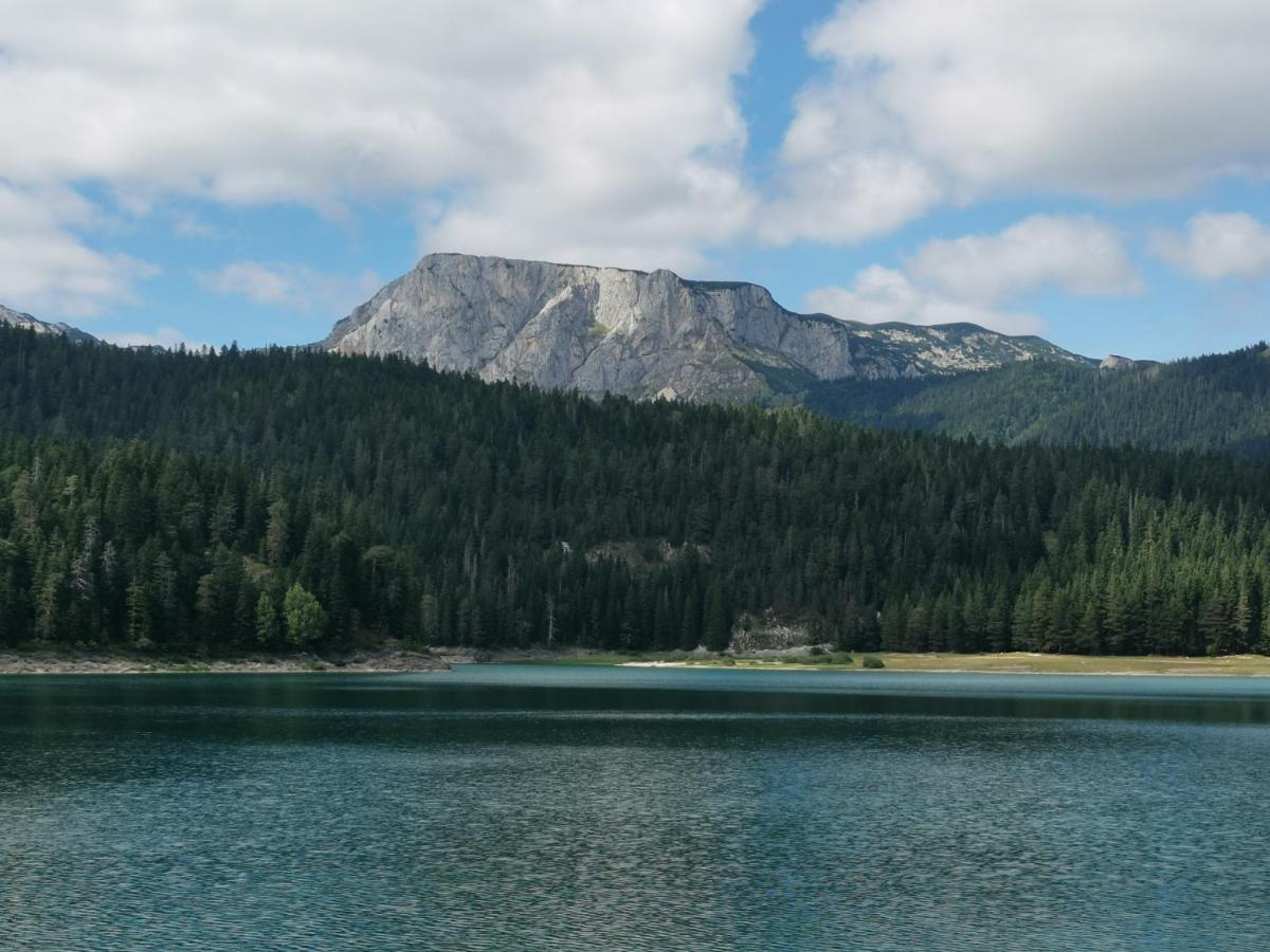 Villa Magic Mountain Žabljak Esterno foto