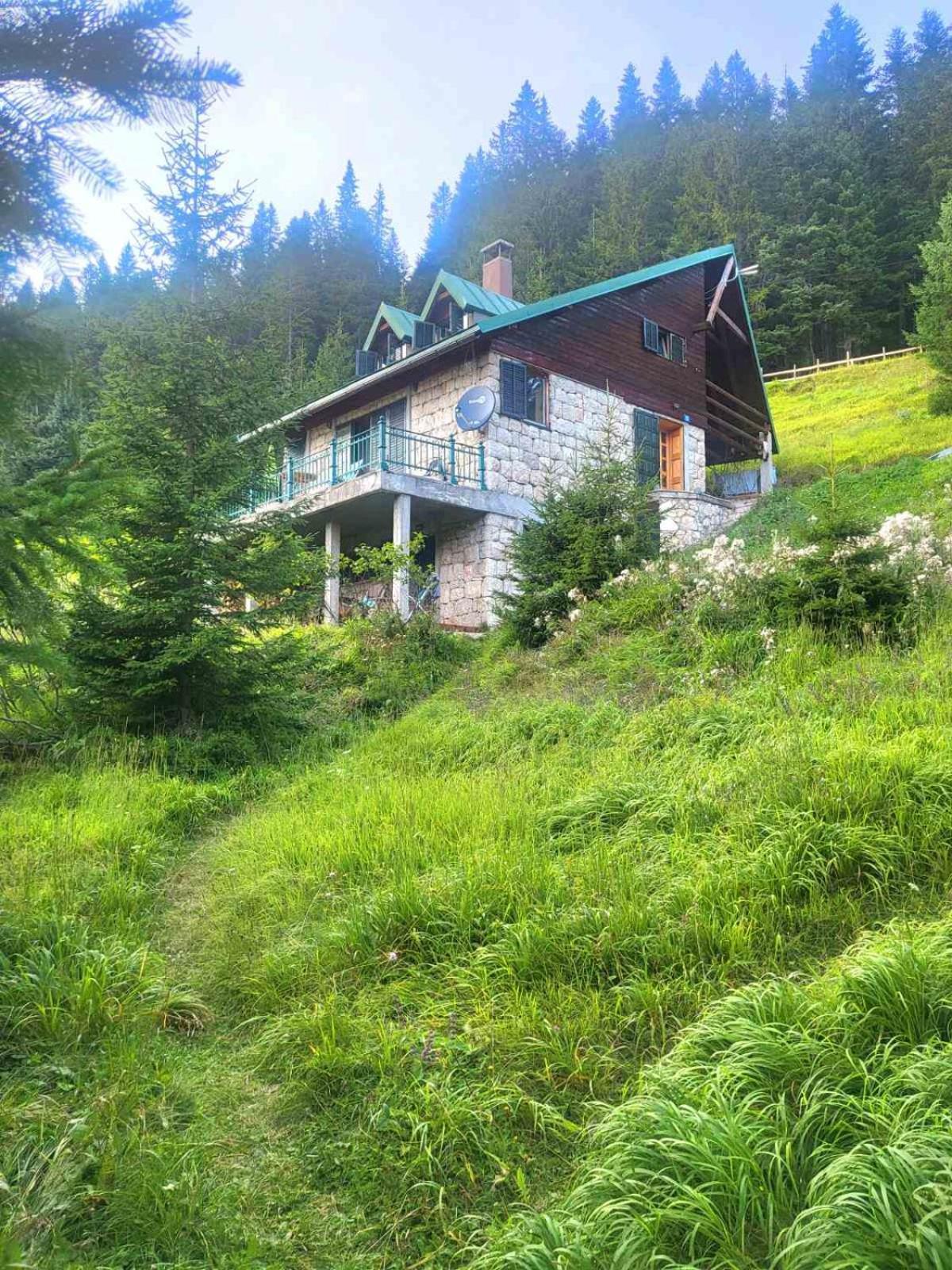 Villa Magic Mountain Žabljak Esterno foto