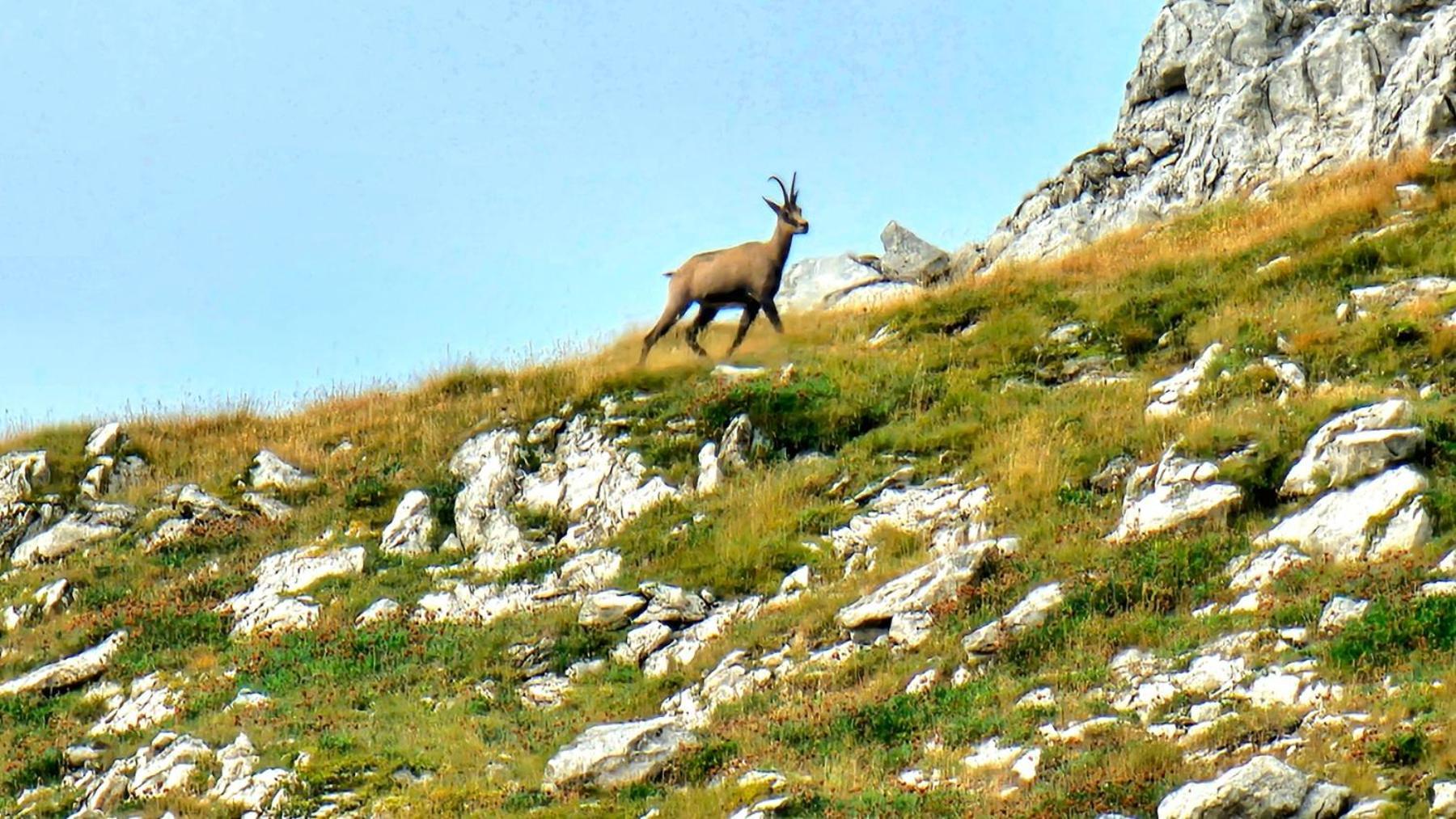 Villa Magic Mountain Žabljak Esterno foto